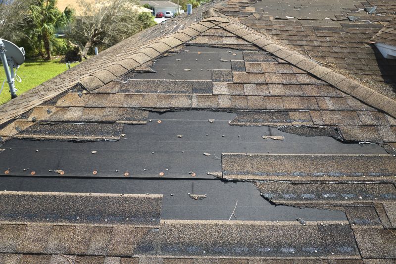 Roof Storm Damage Repair detail